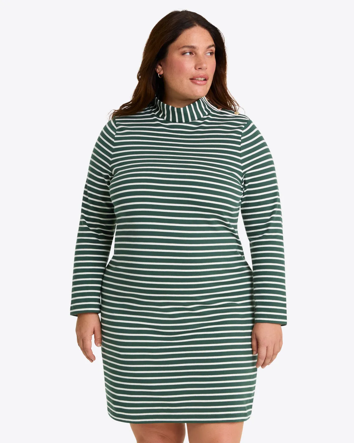 Elsie Turtleneck Dress in Green Stripe